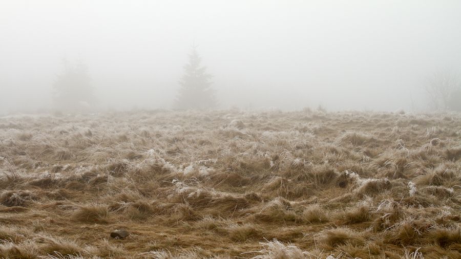 V části Česka se v noci mohou opět vyskytnout mrznoucí mlhy a slabá námraza